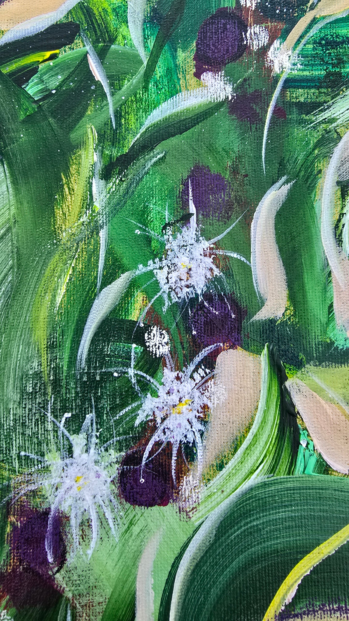 Mata Atlântica - Jabuticabeira