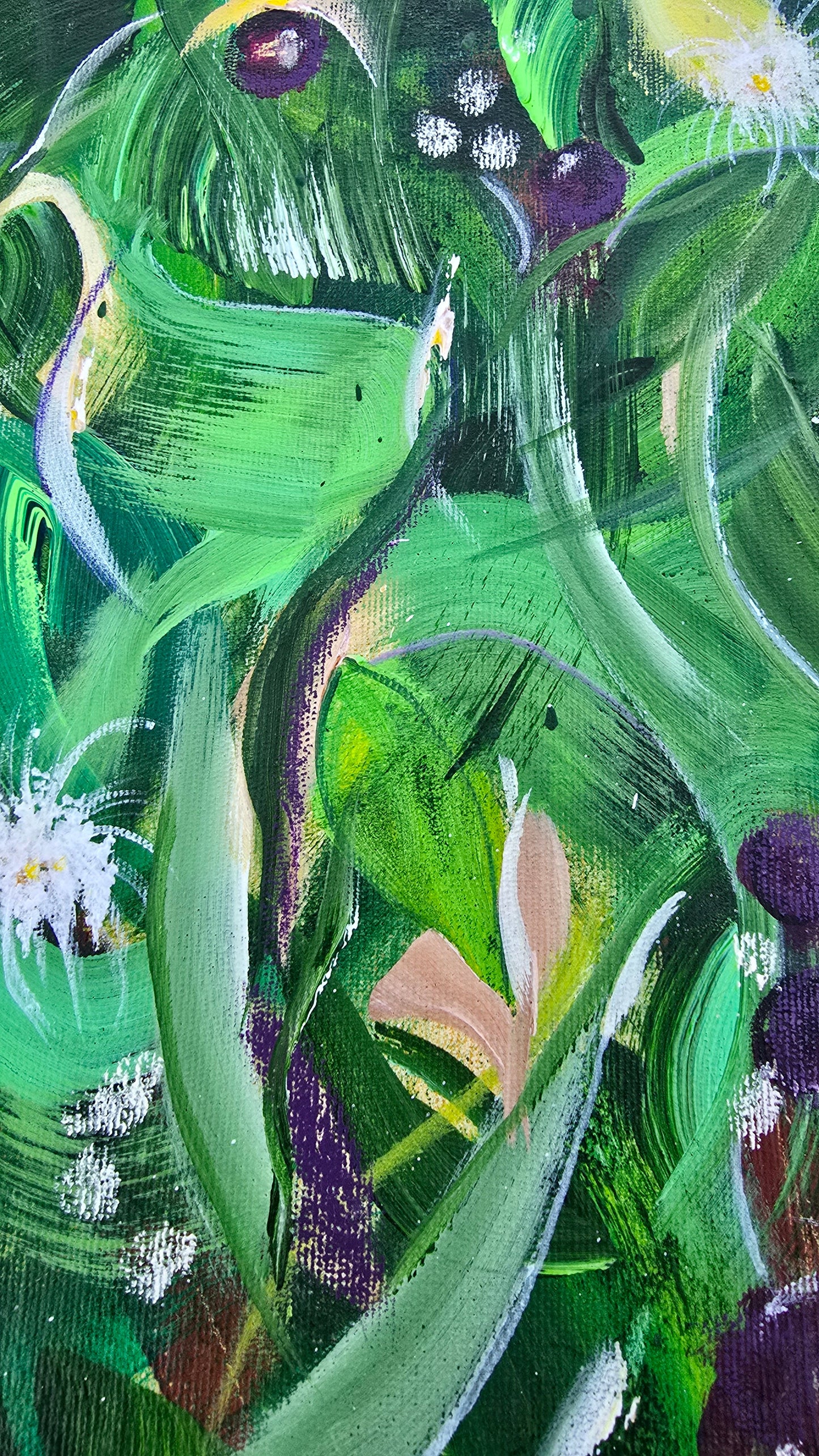 Mata Atlântica - Jabuticabeira