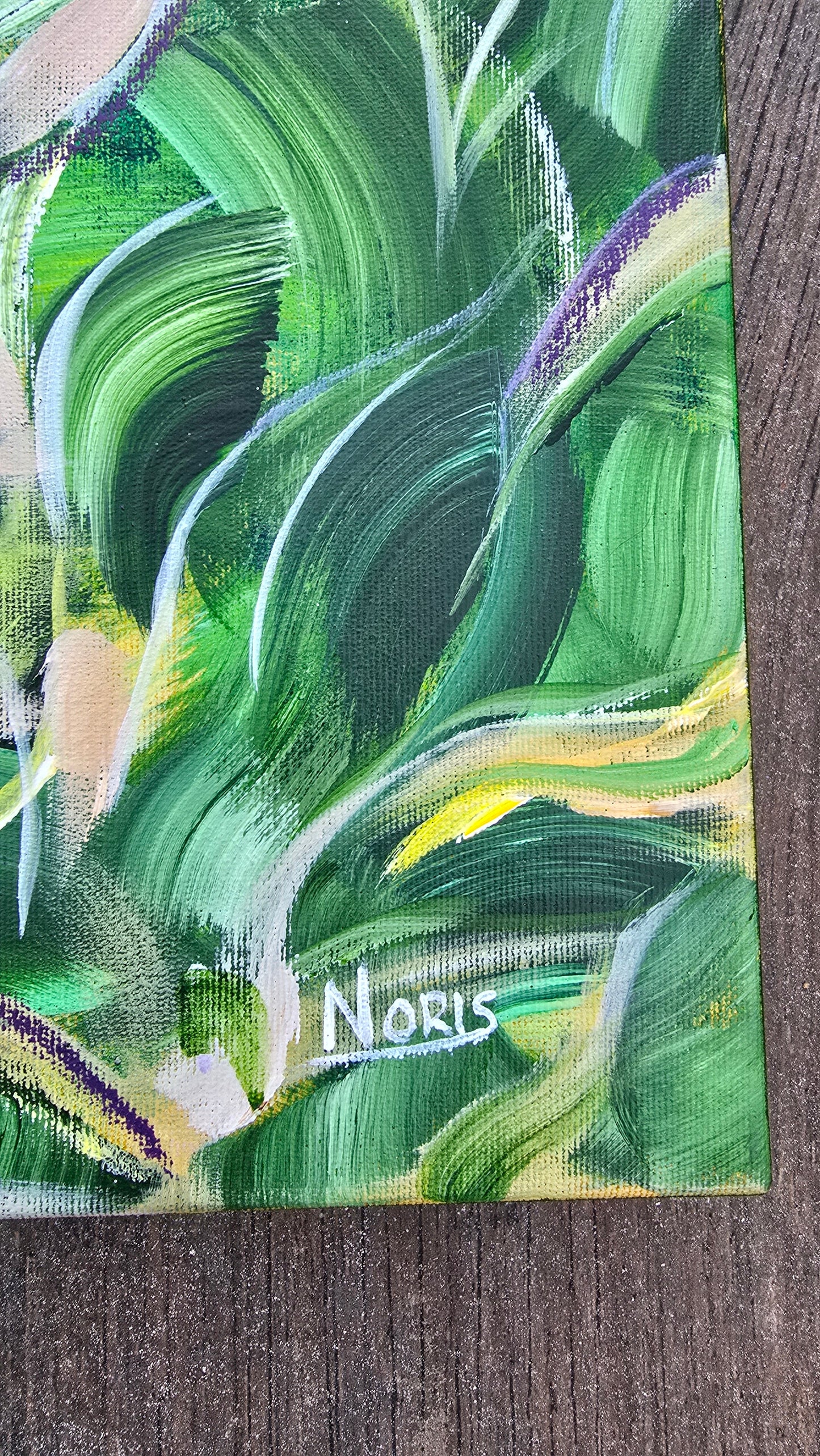 Mata Atlântica - Jabuticabeira