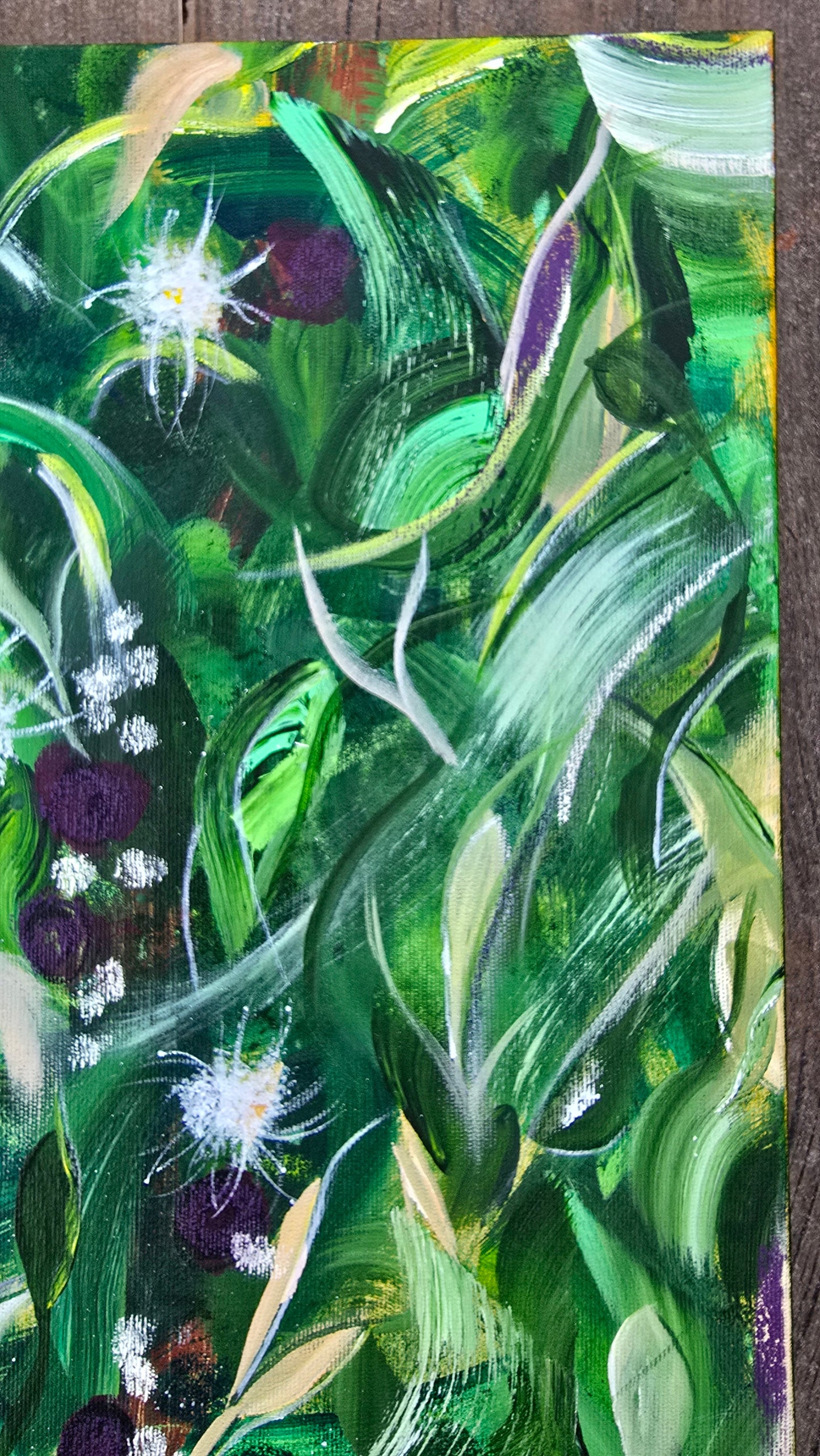 Mata Atlântica - Jabuticabeira