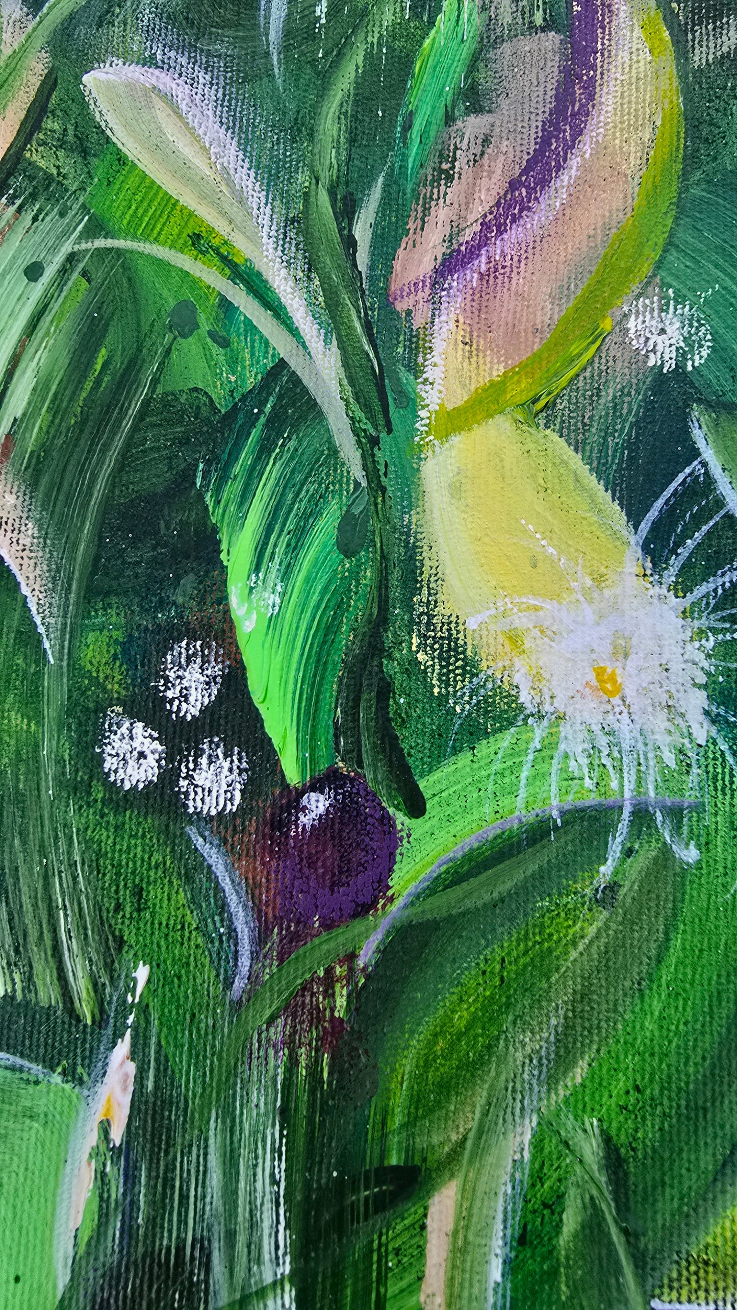 Mata Atlântica - Jabuticabeira