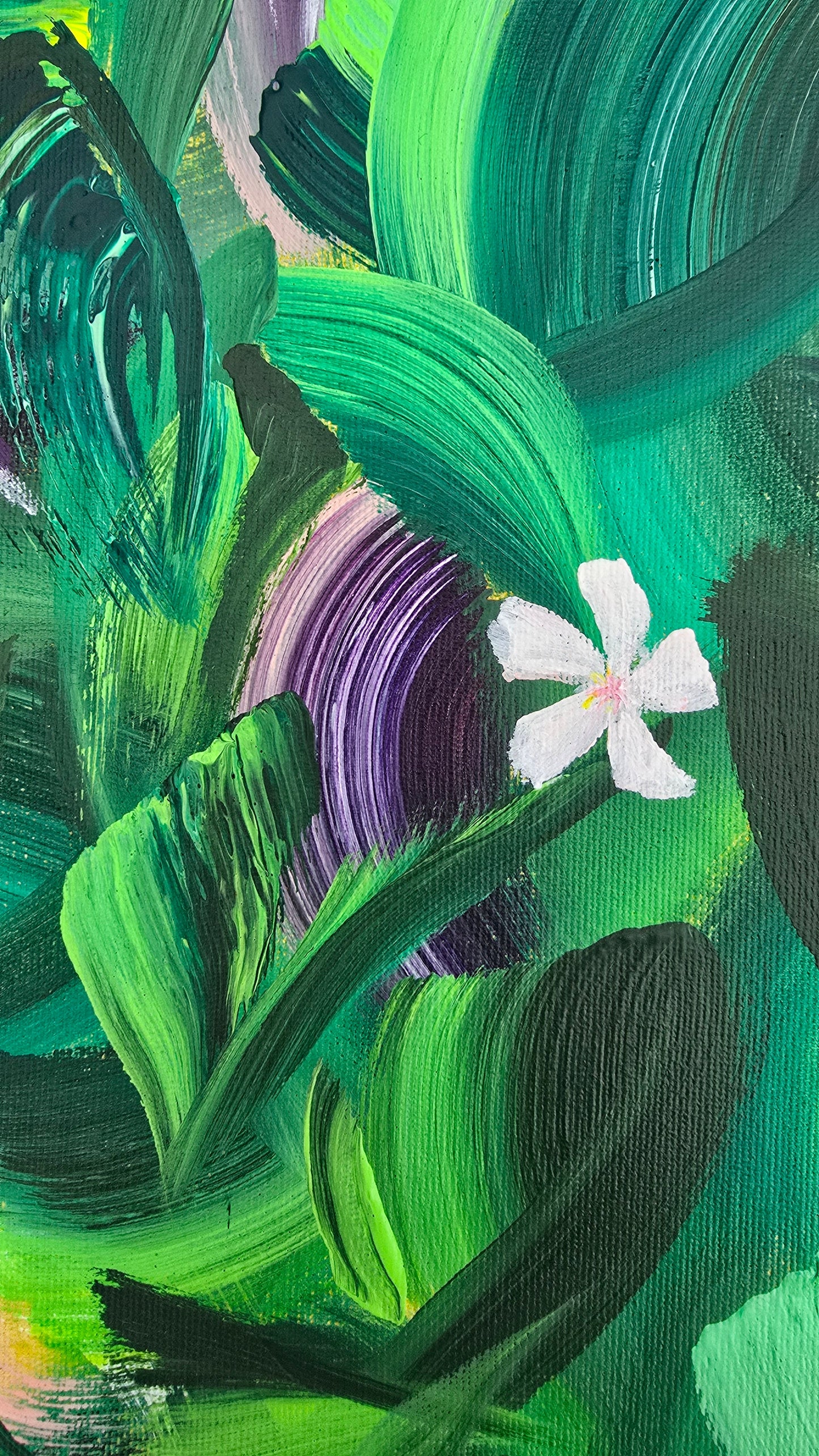 Mata Atlântica - Manacá